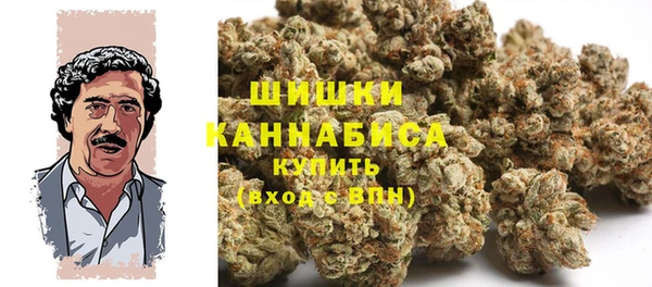 шишки Алексин