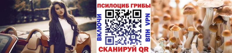 Галлюциногенные грибы Cubensis  купить  сайты  Юхнов 